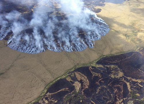 Climate Change Intensifying Wildfire on National Forests