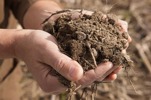 ‘Soil and Air’ – Where Crops Meet the Environment