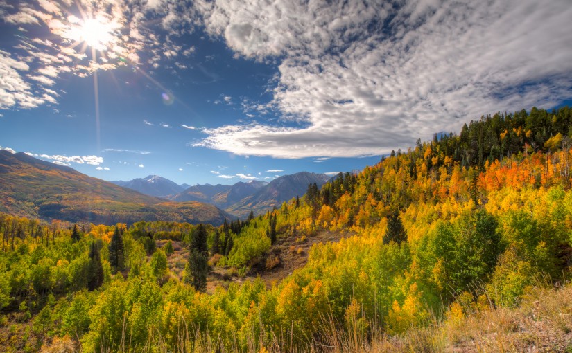 Experience Autumn in the Rockies: Behold the Quaking Aspen
