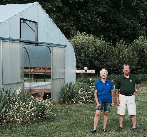 Hill Farm Buzzing with Pollinator Success