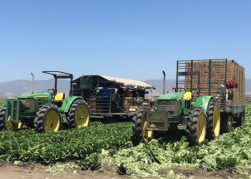Helping Reduce Risk and Facilitate Trade of Fruits and Vegetables