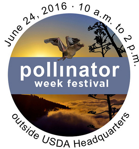 Learn How to Bee a Friend during USDA’s Pollinator Festival this Friday, June 24