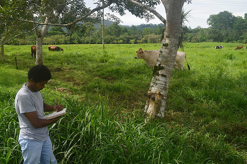 FAS Capacity-Building Efforts in Central America Yield Benefits There and at Home