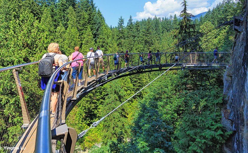A Guide to Forest-Friendly Summer Vacationing