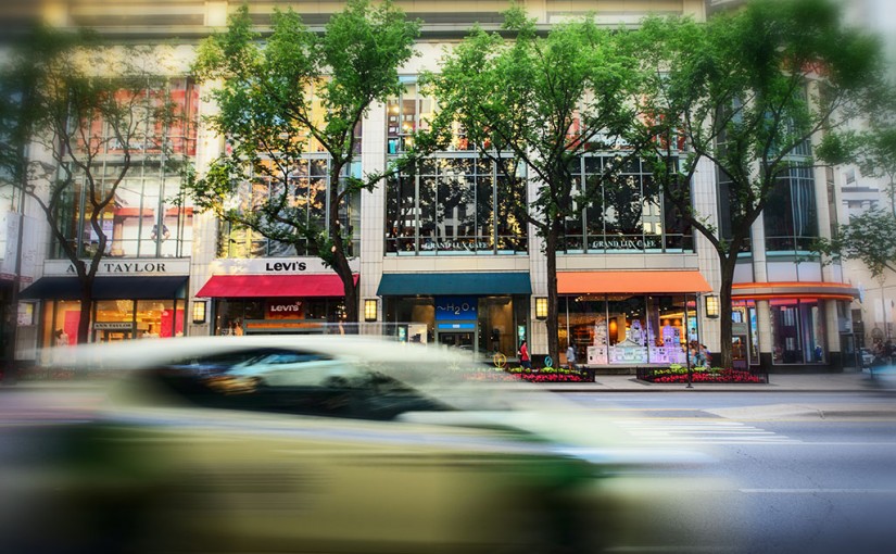 Capturing the Beauty of Trees in Our Cities