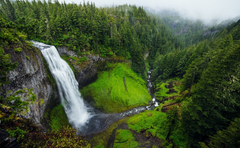 Forest Digest – Week of May 30, 2016