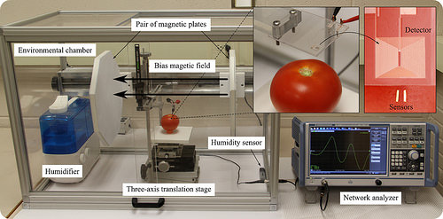 Researchers Use NIFA Grant to Develop Rapid Food Safety Test
