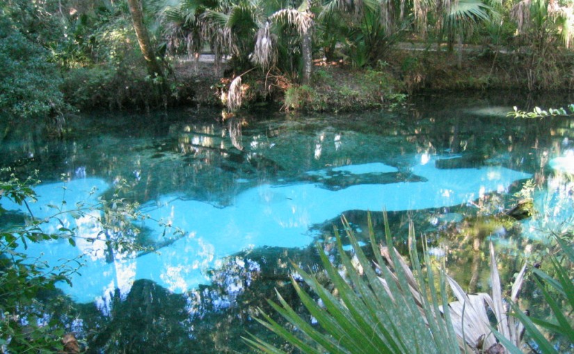Top 5 Summer Swimming Holes in National Forests
