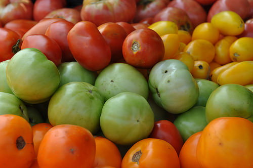 Fresh Foods Signal a Fresh Start for New Orleans’ Lower Ninth Ward