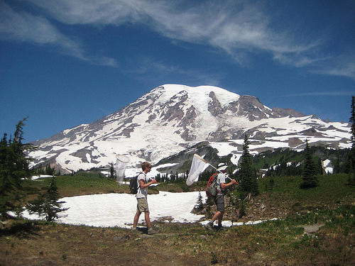 Citizen Science is Sound Science Provided by You