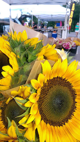 It’s Not Too Late to Celebrate National Farmers Market Week!
