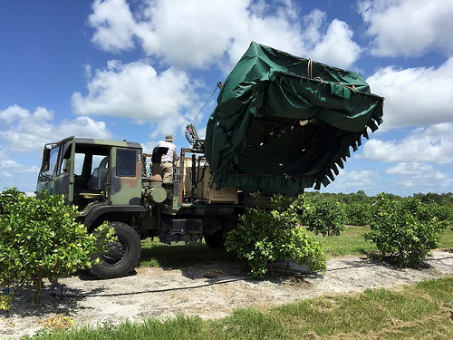 Saving Florida’s Citrus Industry Through Collaboration and Innovation
