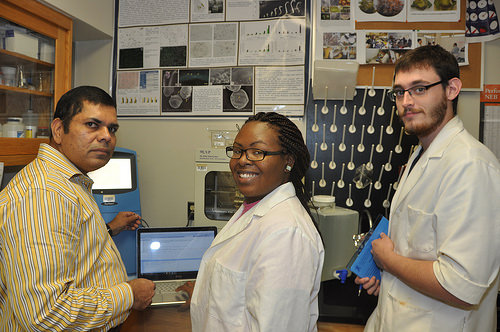 Taming Big-Data for Practical Scientific Research with Microchip Biology