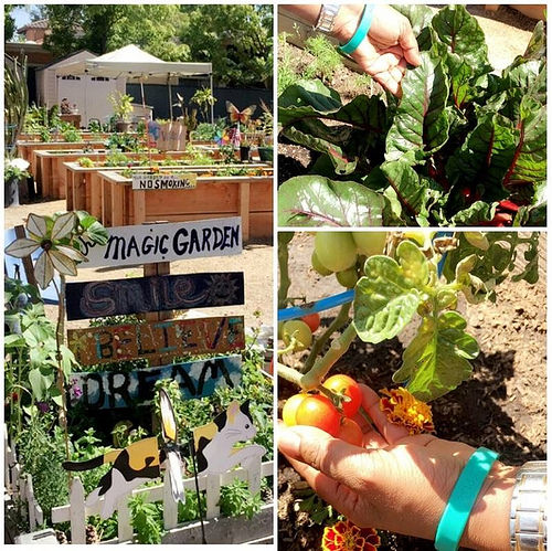 The Child and Adult Care Food Program Responds to the First Lady’s #GimmeFive Challenge!