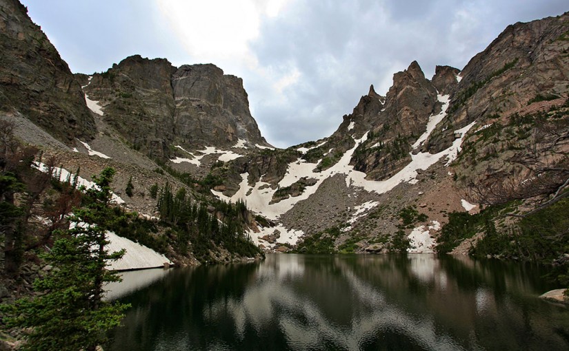 Forest Digest — Week of August 1, 2016