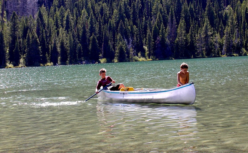 7 Ways to Explore Forests beyond a Walk in the Woods