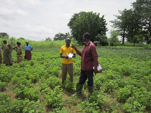 USDA Borlaug Fellow Helps Farmers in His Native Country