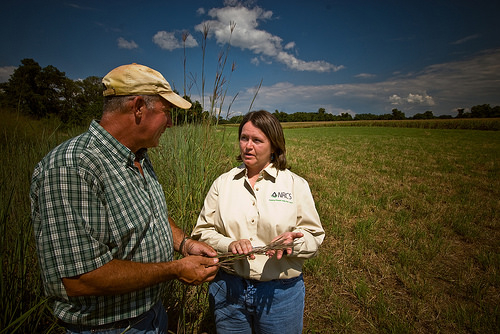 Agricultural Lands Key to a Healthy Chesapeake Bay