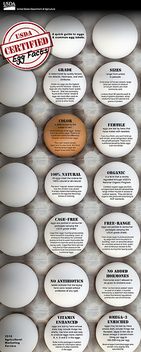 USDA Graded Cage-Free Eggs: All They’re Cracked Up To Be