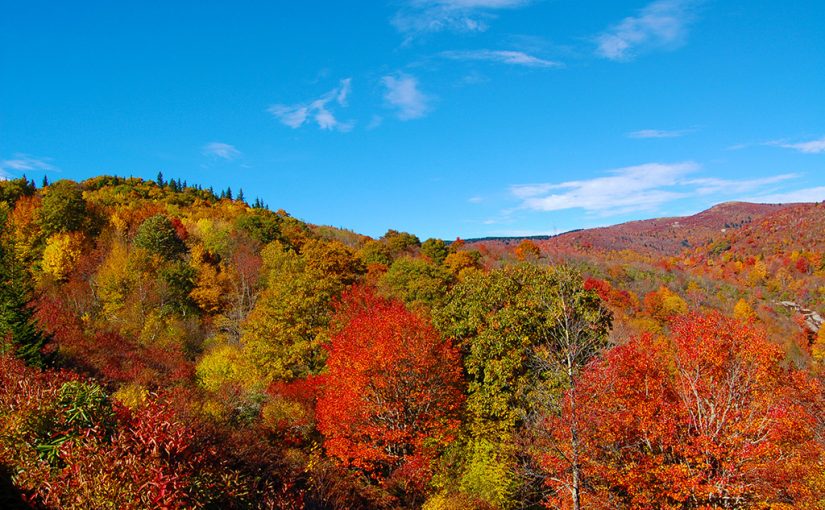 Best Fall Foliage Views in the U.S.