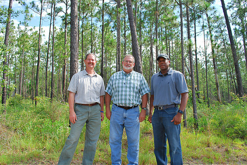 RCPP Benefits Longleaf Ecosystem in Alabama