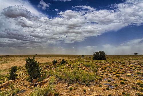 Unique Conservation Partnership Helps Create Win-Win Situation