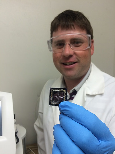 Brown Bat Found in Washington State Infected with Familiar Strain of Fungus