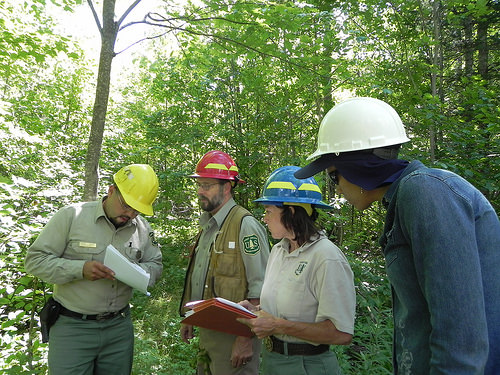 New and Improved Tools Help Adapt Forests to Changing Conditions