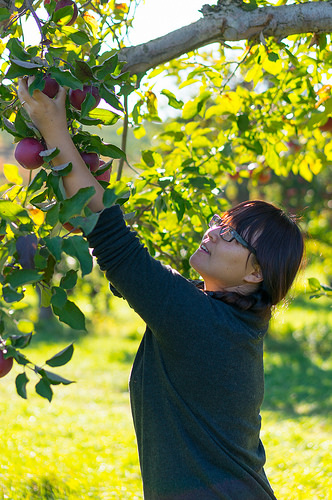Helping States Build an Agricultural Future