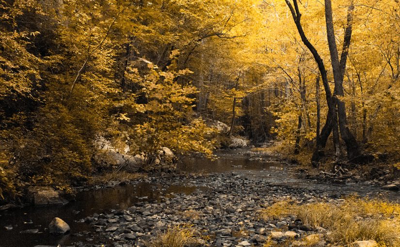 Best Fall Foliage Views in the U.S.: South
