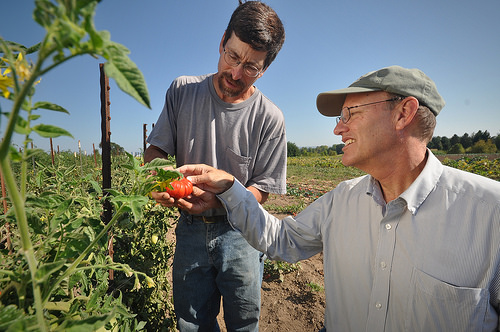 Growth and Opportunity in the Organic Sector