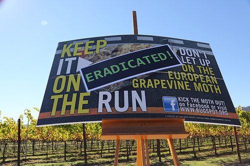 European Grapevine Moth Cooperative Eradication Program: A Model for Fighting Future Invasive Species Threats