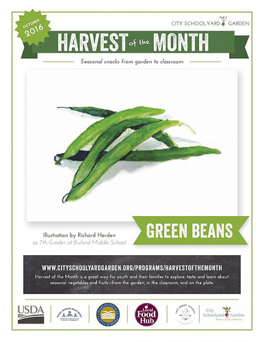 Grants, Gardens and Green Beans: Charlottesville’s Growing Farm to School Program