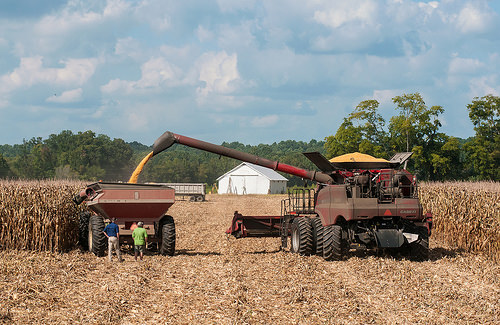 Two NASS Surveys Critical for USDA Crop Programs for Farmers