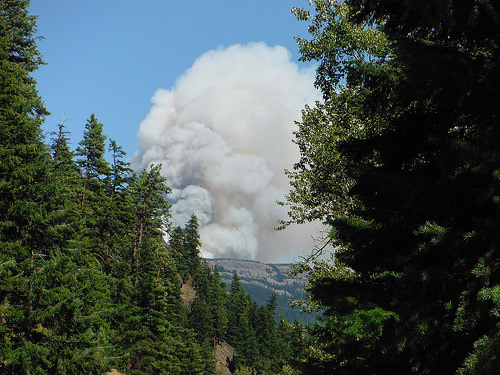 Looking to the Future and Learning from the Past in our National Forests