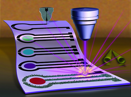 Nanostructured Biosensors Detect Pesticide, Help Preserve Environment