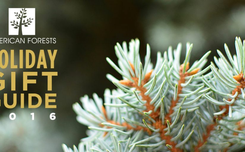 18 Green Gifts to Get This Holiday Season