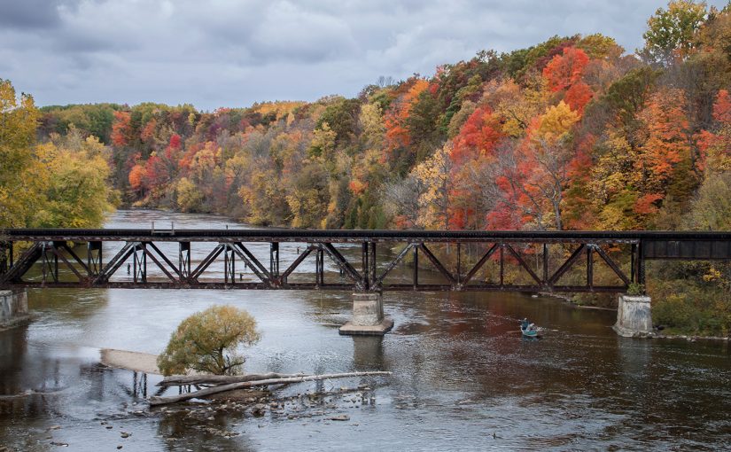 Global ReLeaf: Muskegon River Restoration