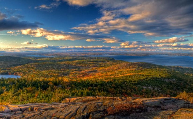 The Best Fall Forests For…