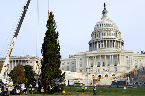 A Dazzling Gem from Idaho Arrives on Capitol Hill
