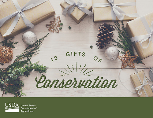 12 Gifts of Conservation