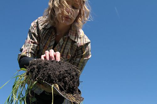 World Soil Day – A Time to Celebrate the Foundation of Agriculture