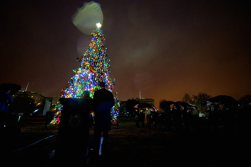 The Brightest Gem in Washington isn’t the Hope Diamond, it’s the U.S. Capitol Christmas Tree