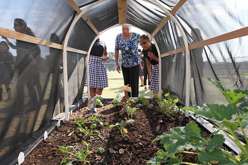 Getting a School Garden Blooming