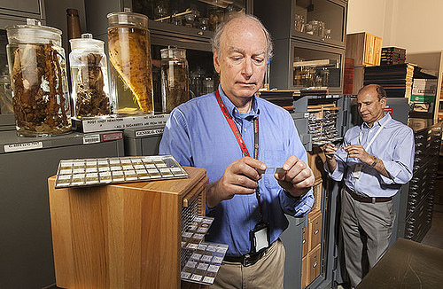 One-Stop Shopping for Federal Scientific Collections
