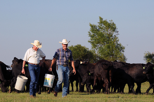 A New Retirement Account Option for Farm Households