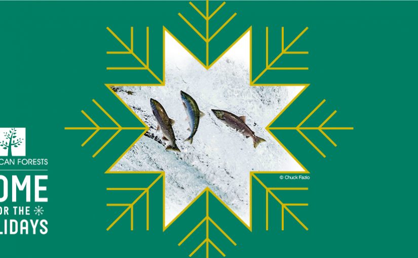 Home for the Holidays: The Pacific Salmon and Rivers across the Northwest