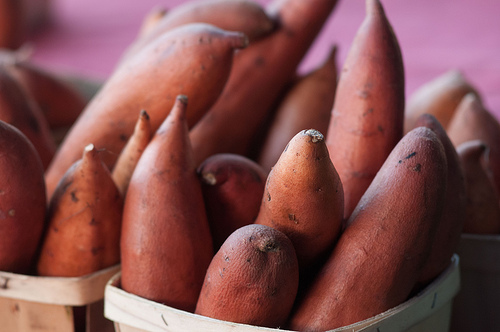 U.S. Sweet Potato Production Swells