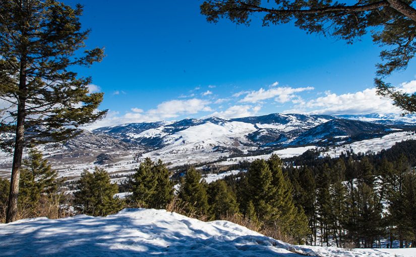 Winter Snow, Your Water and Trees: It’s More Complicated Than You Think
