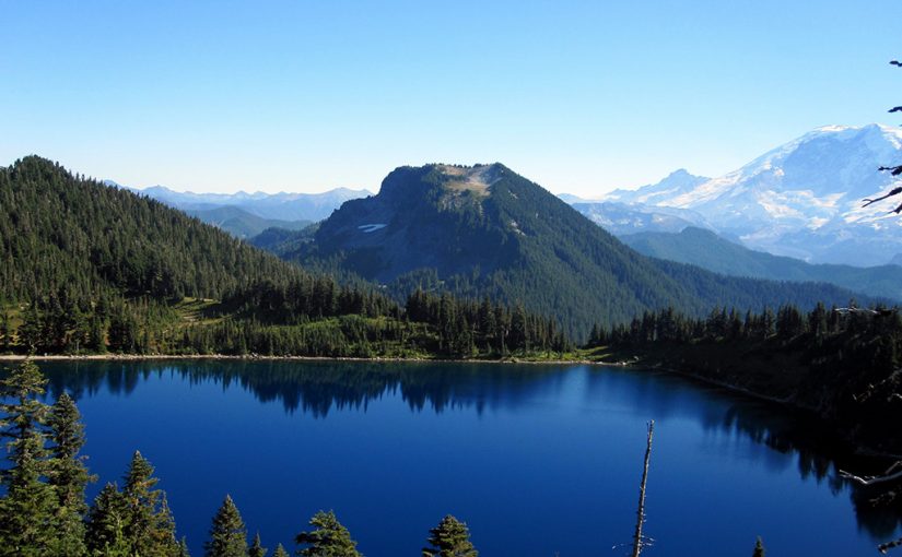 Crown of the Continent: An Ecosystem in Peril, Thanks to Humans